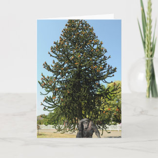 Monkey Puzzle & Puzzled Gorilla. Card