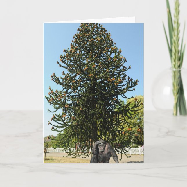 Monkey Puzzle & Puzzled Gorilla. Card (Front)