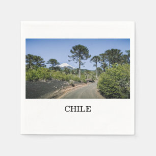 Monkey puzzle trees near volcano in chile napkin