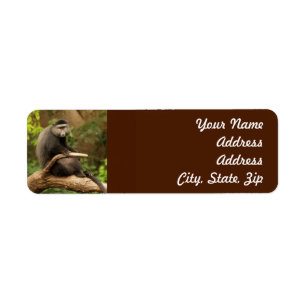 Monkey  Return Address Sticker