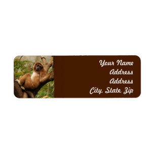 Monkey  Return Address Sticker