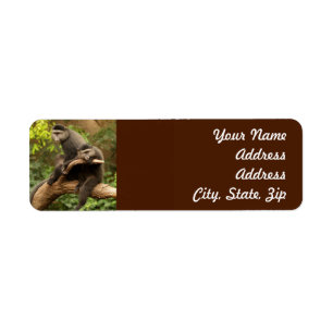Monkey Return Address Sticker
