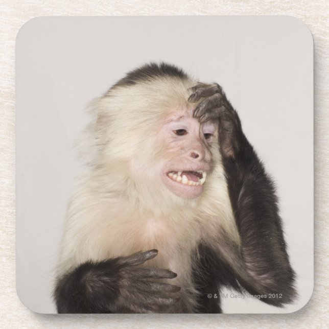 Monkey scratching itself coaster (Front)