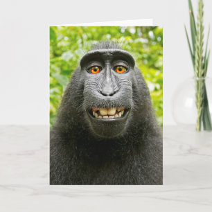 Monkey Selfie Card