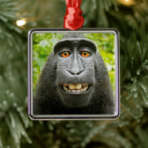 Monkey Selfie Metal Tree Decoration