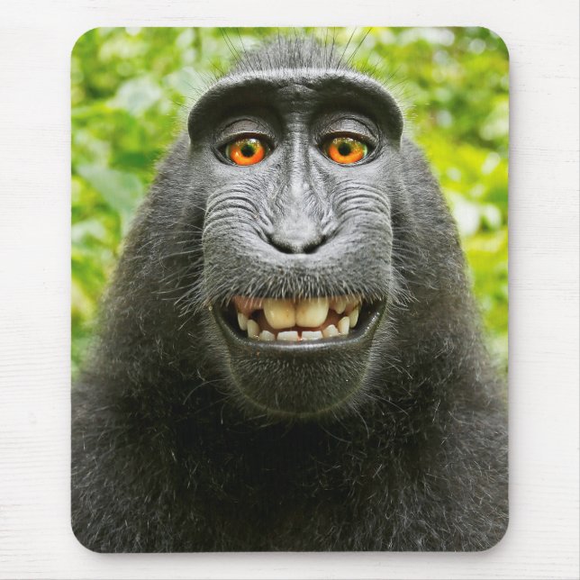 Monkey Selfie Mouse Mat (Front)