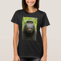 Monkey Selfie