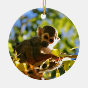 Monkey Shines Ceramic Tree Decoration