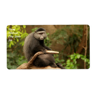 Monkey Shipping Label