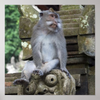 Monkey sitting at a statue in Bali