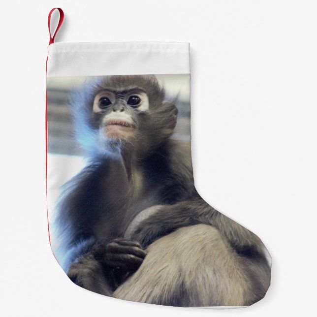 Monkey Small Christmas Stocking (Front)