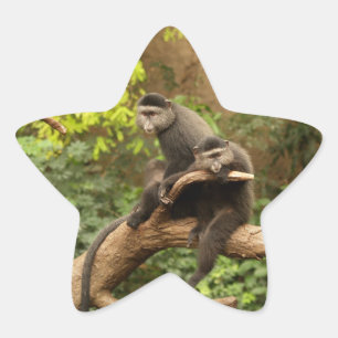 Monkey Star Sticker