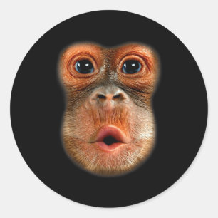 Monkey Stomach Funny Meme Cool Viral Video  Classic Round Sticker