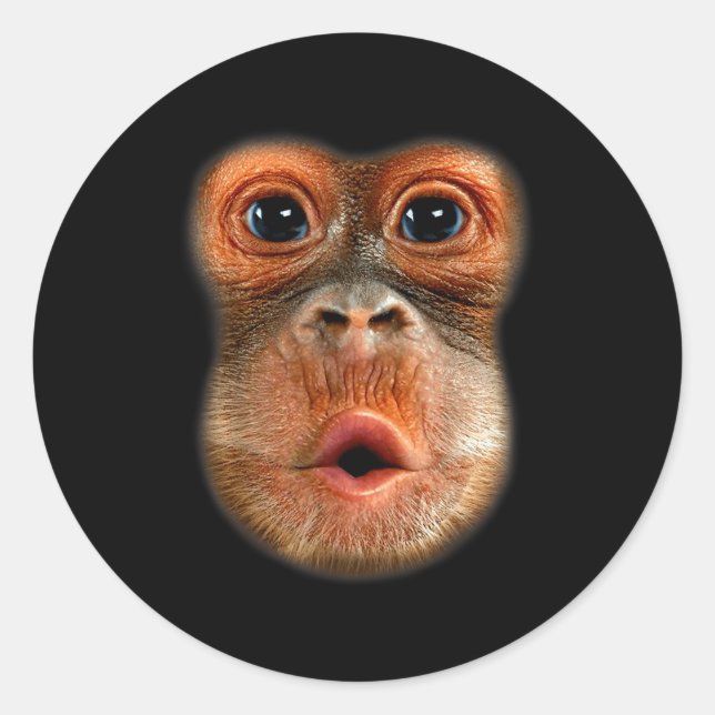 Monkey Stomach Funny Meme Cool Viral Video  Classic Round Sticker (Front)