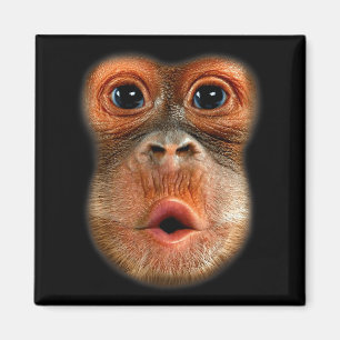 Monkey Stomach Funny Meme Cool Viral Video Magnet