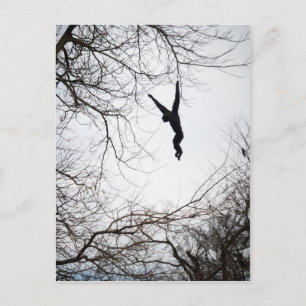 Monkey Swinging Postcard