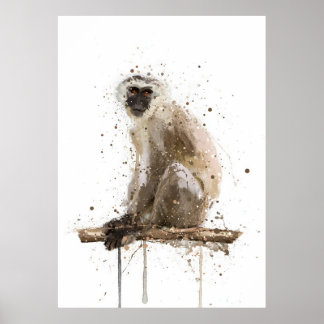 Monkey Vervet Poster