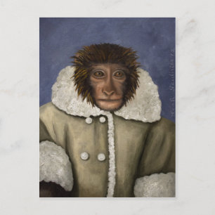 Monkey Wearing Jacket Postcard
