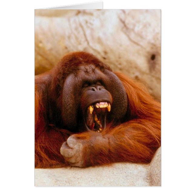 Monkey yelling (Front)