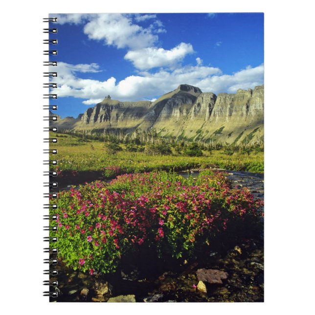 Monkeyflowers at Logan Pass in Glacier National Notebook (Front)