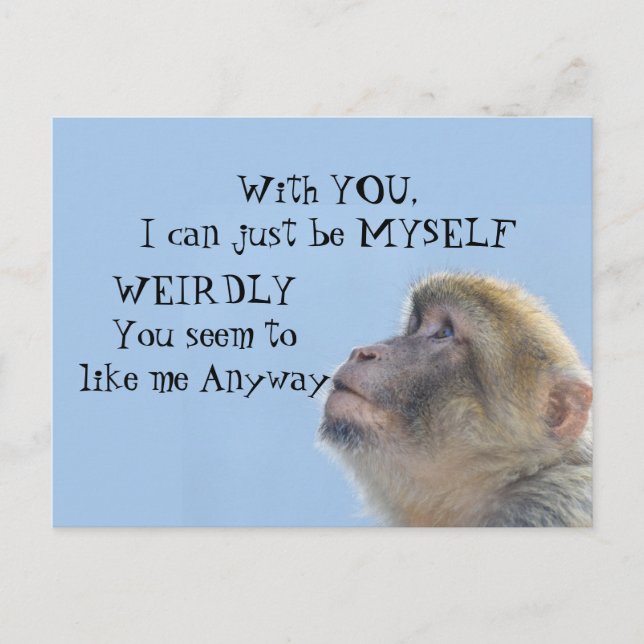 Monkeying Around Greeting  Postcard (Front)