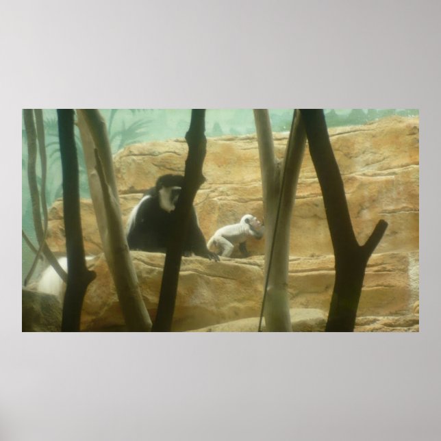 Monkeying Around Poster (Front)