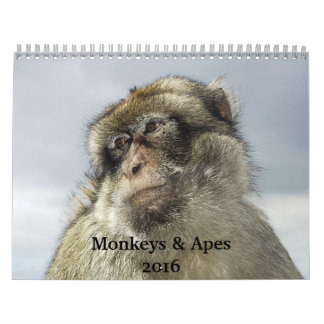 Monkeys and Apes 2016 Calendar