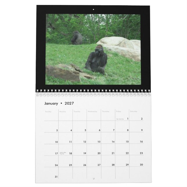 monkeys calendar (Jan 2027)