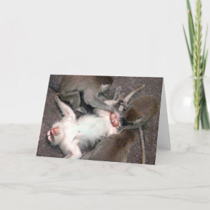 monkeys card