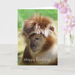 MONKEYS CARD