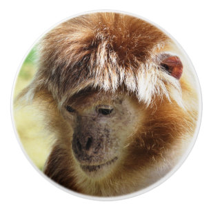 MONKEYS CERAMIC KNOB