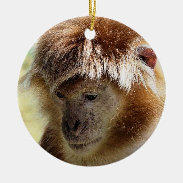 MONKEYS CERAMIC TREE DECORATION (Front)