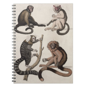 Monkeys (colour litho) notebook