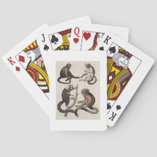 Monkeys (colour litho) playing cards