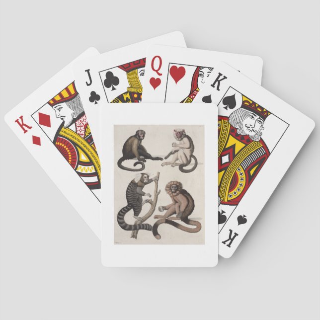 Monkeys (colour litho) playing cards (Back)