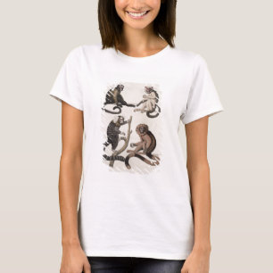 Monkeys (colour litho) T-Shirt
