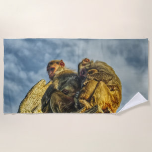 monkeys cuddling beach towel