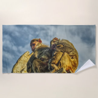 monkeys cuddling beach towel