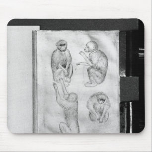 Monkeys, from The Vallardi Album Mouse Mat