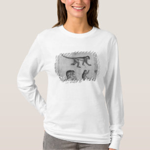 Monkeys, from The Vallardi Album T-Shirt