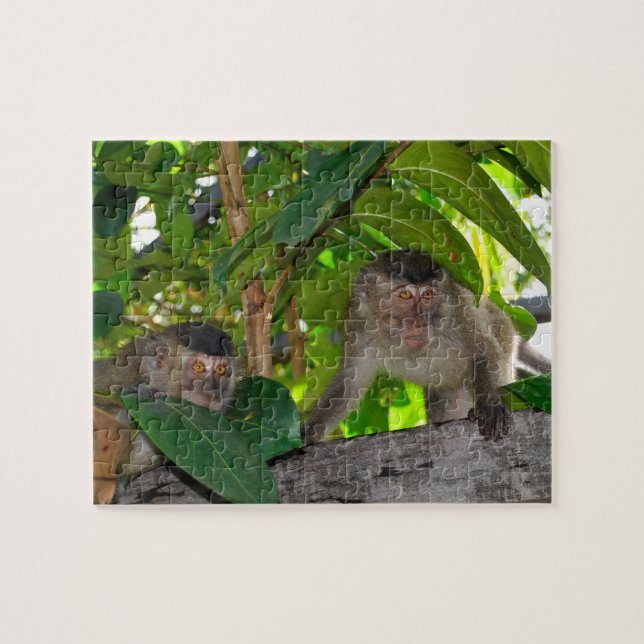 Monkeys in Rainforest of Borneo Jigsaw Puzzle (Horizontal)