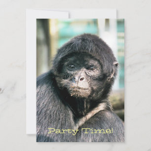 MONKEYS Invitation