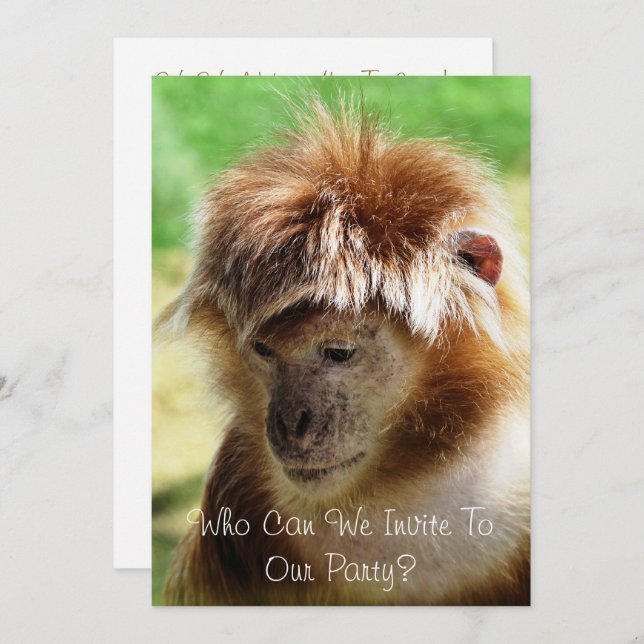 MONKEYS INVITATION (Front/Back)