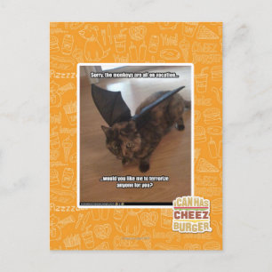 Monkeys on vacation postcard