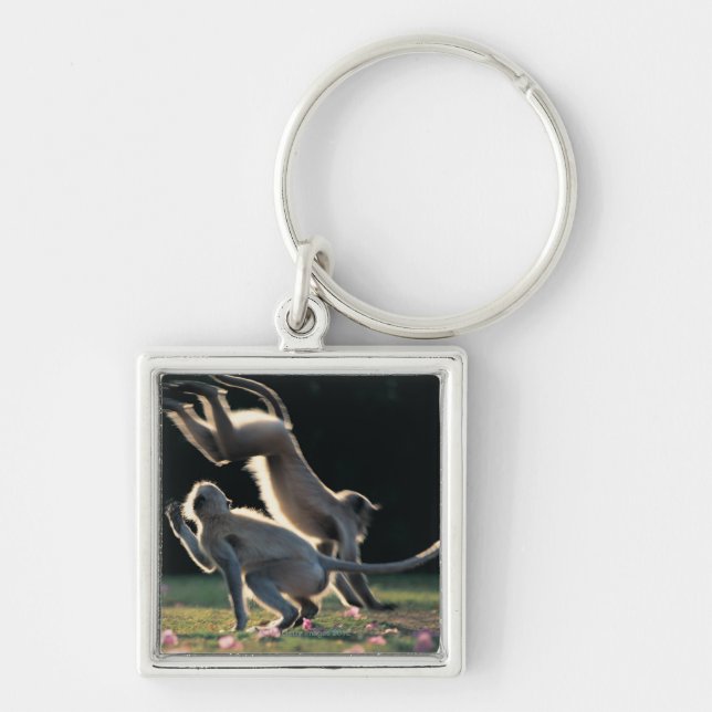 Monkeys playing key ring (Front)