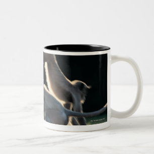 Monkeys playing Two-Tone coffee mug