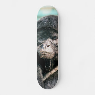 MONKEYS SKATEBOARD