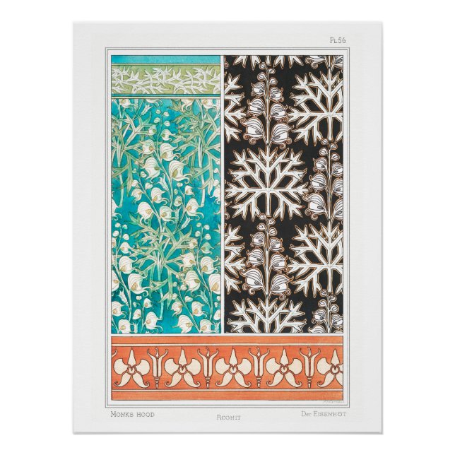 Monkshood wolfsbane plant art nouveau verneuil  poster (Front)