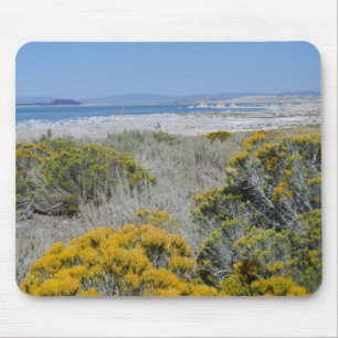 Mono Lake, CA Mouse Mat