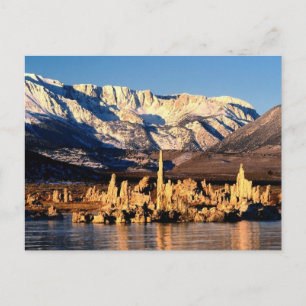 Mono Lake, CA Postcard